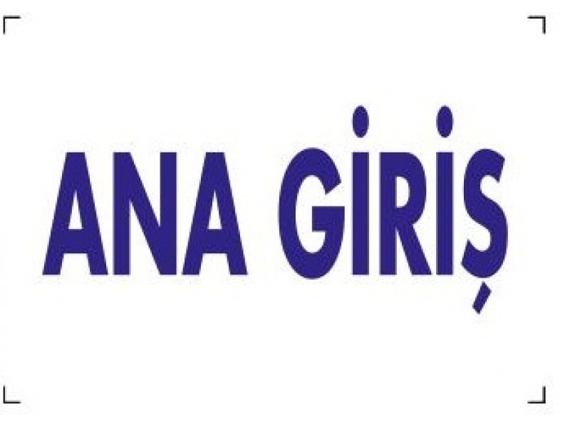 1675 Ana Giriş Dekote Levha 12X25 cm