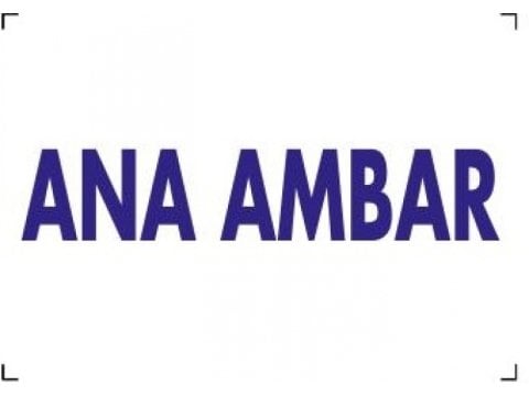 1681 Ana Ambar Dekote Levha 12X25 cm