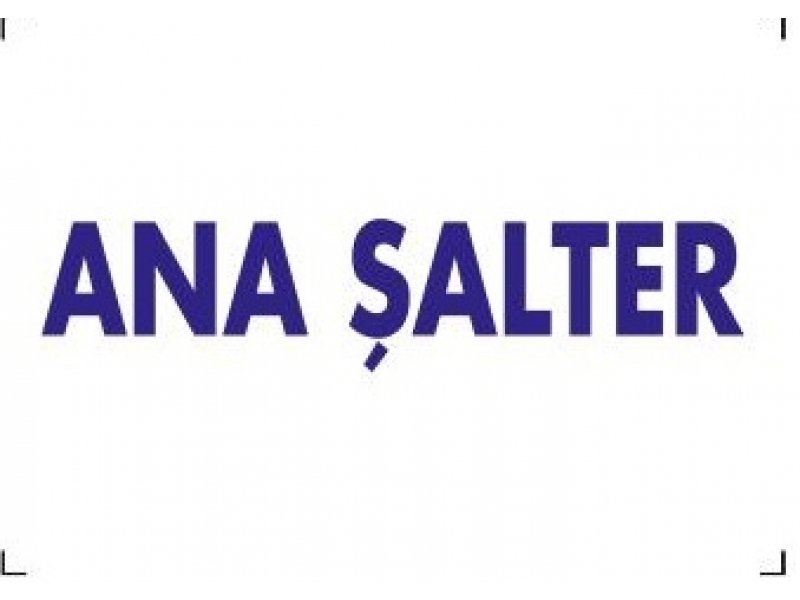 1683 Ana Şalter Dekote Levha 12X25 cm