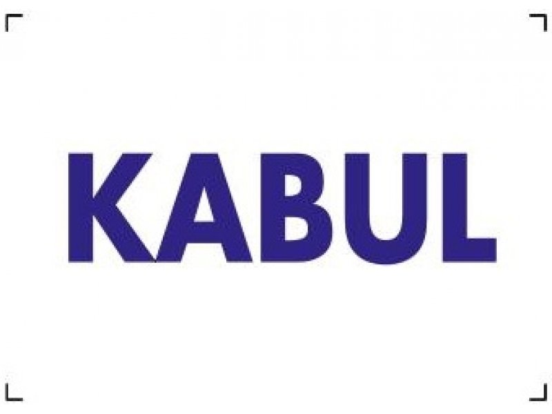 1723 Kabul Dekote Levha 12X25 cm
