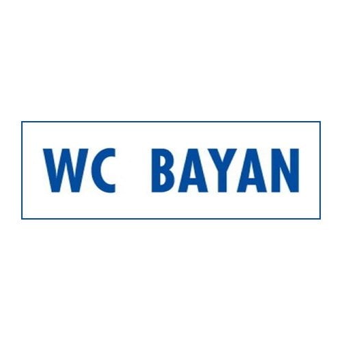 1784 Wc Bayan Dekote Levha 12X25 cm