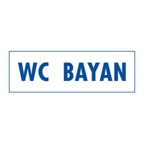 1784 Wc Bayan Dekote Levha 12X25 cm
